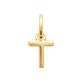 Coque de Nacre Pendentif initiale plaqué or 2775620