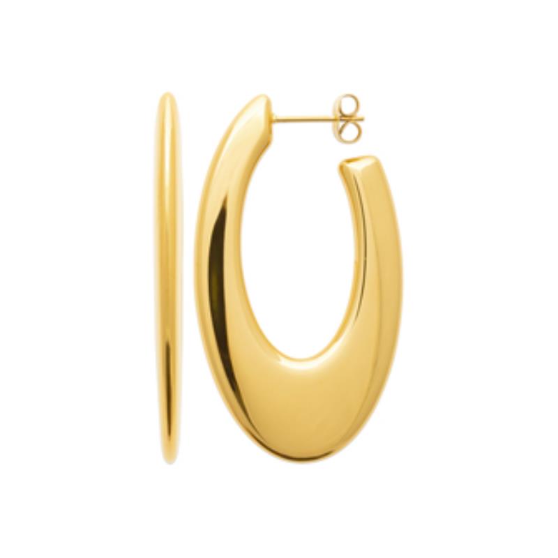 Coque de Nacre Boucles d'oreilles acier doré 3124309