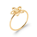 Coque de Nacre Bague plaqué or 20011200