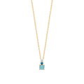 Coque de Nacre Collier plaqué or 973469