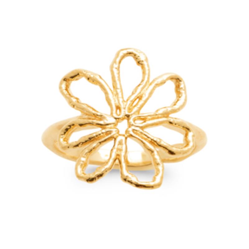 Coque de Nacre Bague plaqué or 2992700