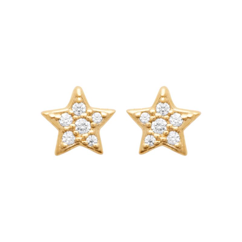 Coque de Nacre Puces d'oreilles plaqué or 23018810