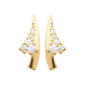 Coque de Nacre Puces d'oreilles plaqué or 23062710