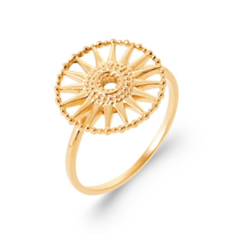 Coque de Nacre Bague plaqué or 2973900