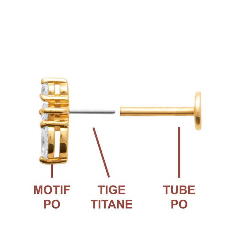 Coque de Nacre Piercing plaqué or 23068410