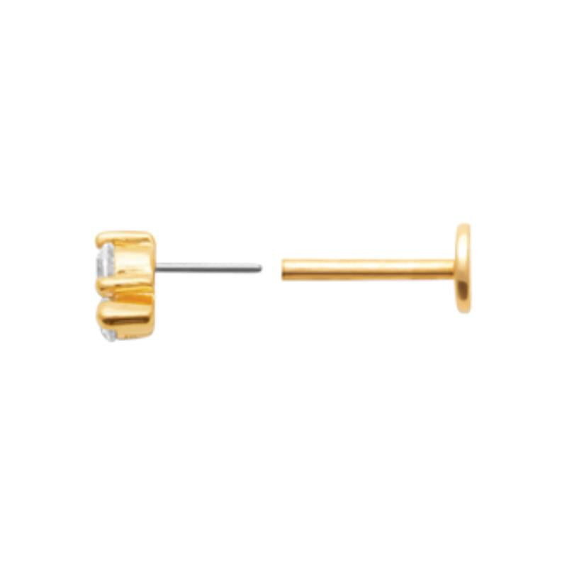 Coque de Nacre Piercing plaqué or 23071010