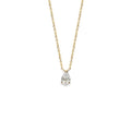 Coque de Nacre Collier plaqué or 971003