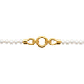 Coque de Nacre Bracelet acier doré 312376