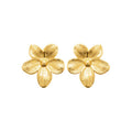Izee Boucles d'oreilles acier doré 3117909