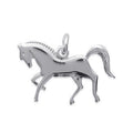 Coque de Nacre Pendentif argent 7878300