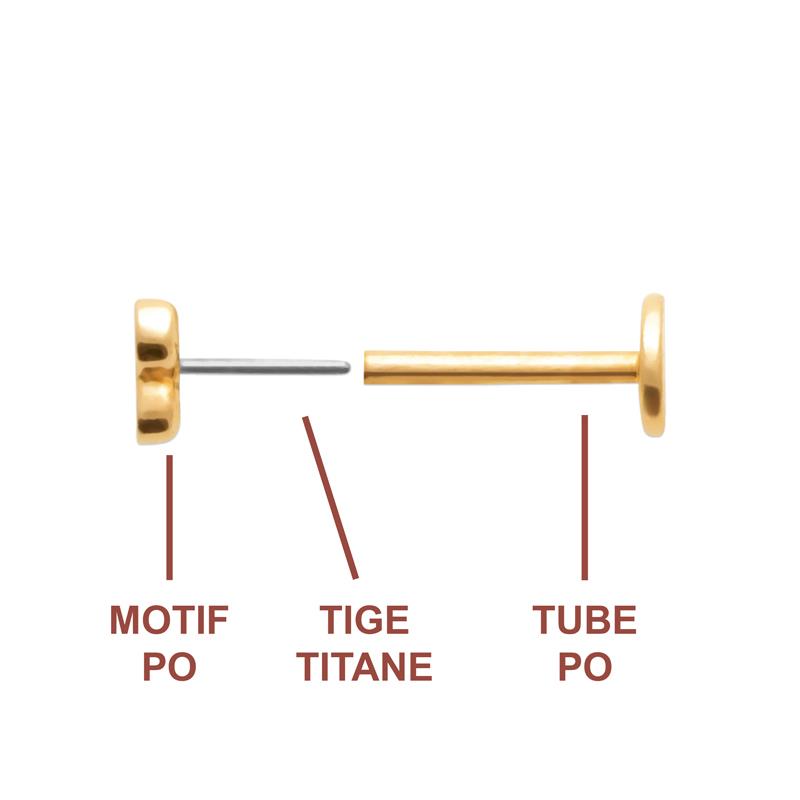 Coque de Nacre Piercing plaqué or 23066510