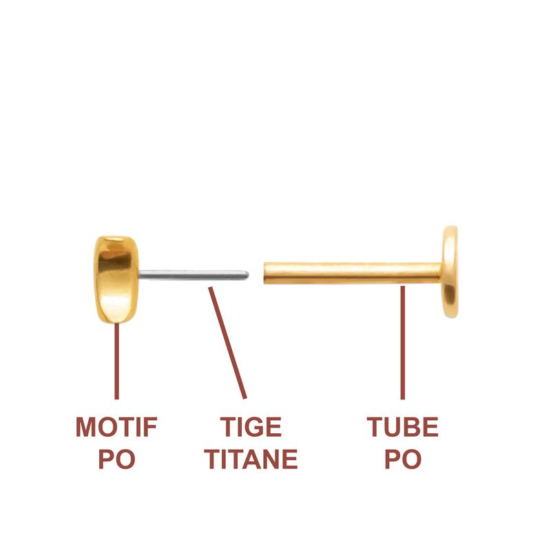 Coque de Nacre Piercing plaqué or 23073900
