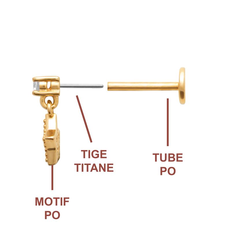 Coque de Nacre Piercing plaqué or 23067310