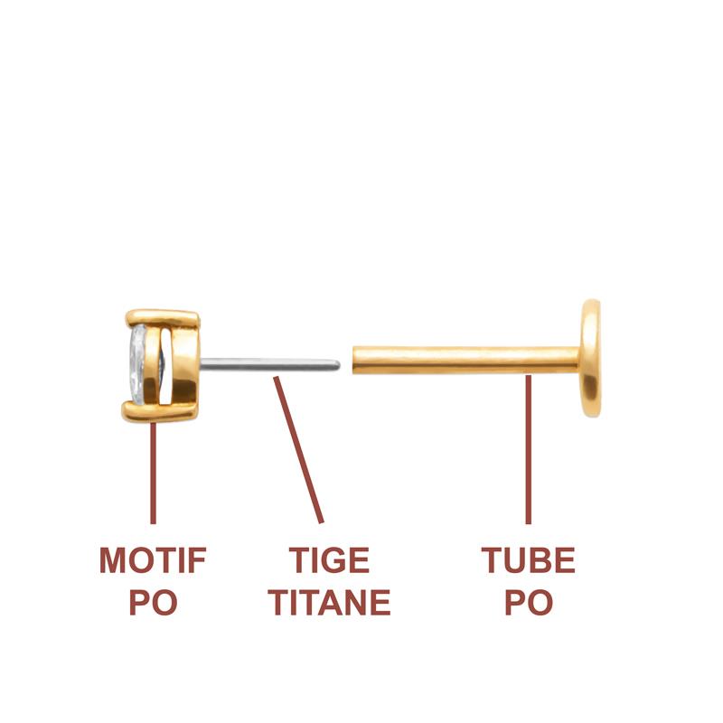 Coque de Nacre Piercing plaqué or 23066910