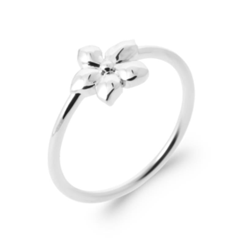 Coque de Nacre Bague argent 7976800