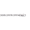 Coque de Nacre Chaîne maille figaro argent 732100
