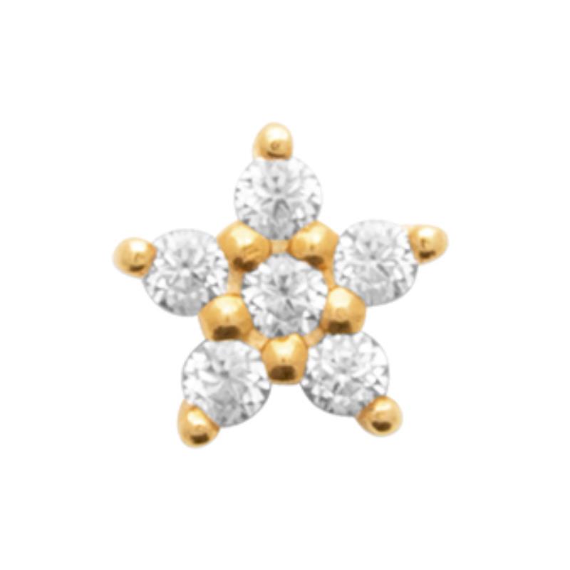 Coque de Nacre Piercing plaqué or 23067410