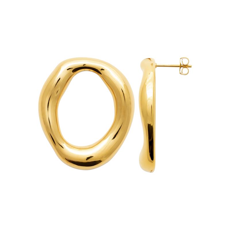 Izee Boucles d'oreilles acier doré 3128309