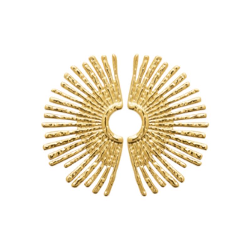 Izee Boucles d'oreilles acier doré 3115709