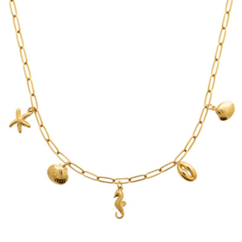 Coque de Nacre Collier acier doré 312278
