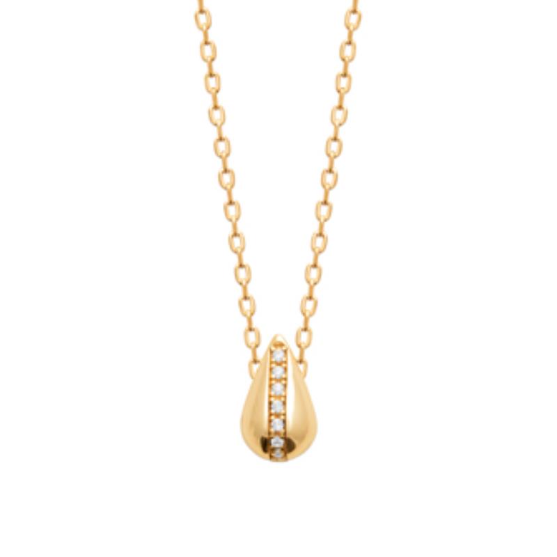 Coque de Nacre Collier plaqué or 974163
