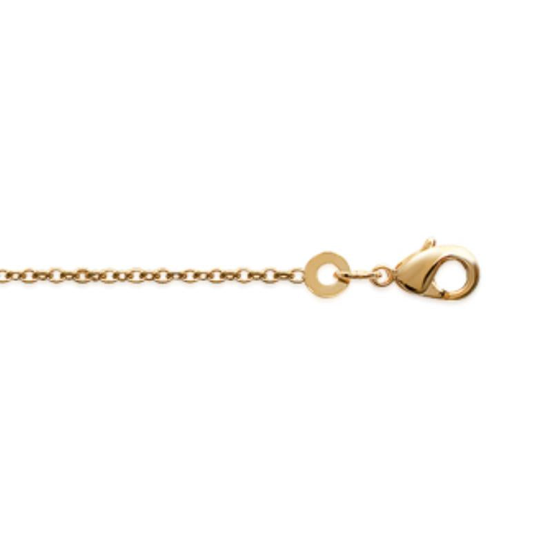 Coque de Nacre Chaîne maille forçat doré 325040
