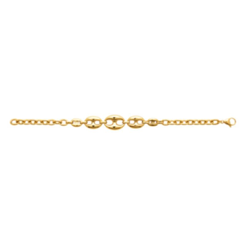 Coque de Nacre Chaîne acier doré 312248