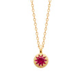 Coque de Nacre Collier plaqué or 974217