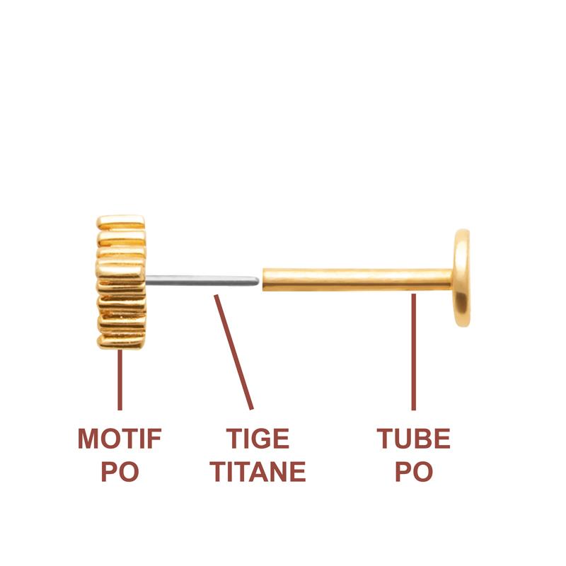 Coque de Nacre Piercing plaqué or 23067810