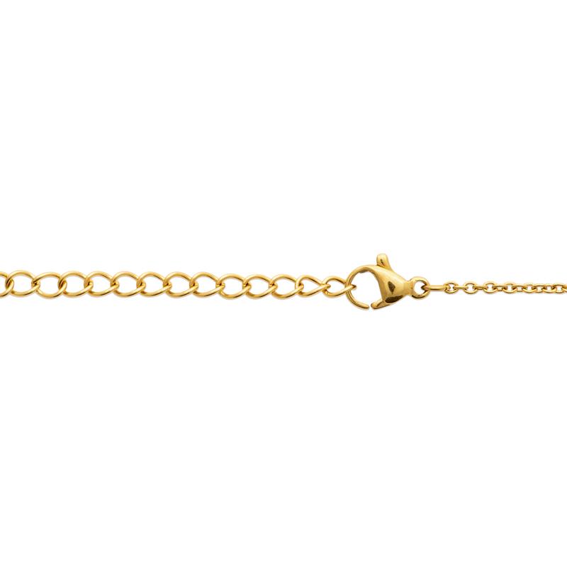 Coque de Nacre Collier acier doré 312387