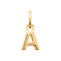 Coque de Nacre Pendentif initiale plaqué or 2775601