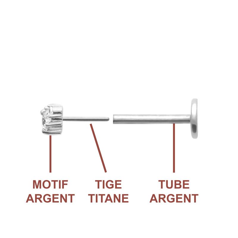 Coque de Nacre Piercing argent 13074710