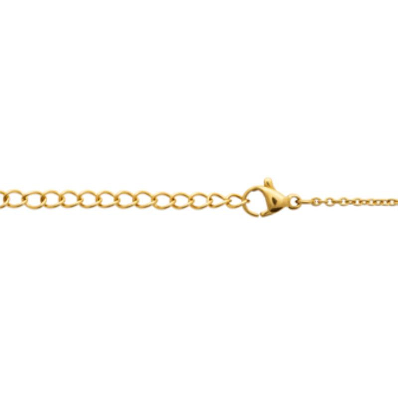 Coque de Nacre Collier acier doré 312393