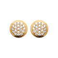 Coque de Nacre Puces d'oreilles plaqué or 2570710
