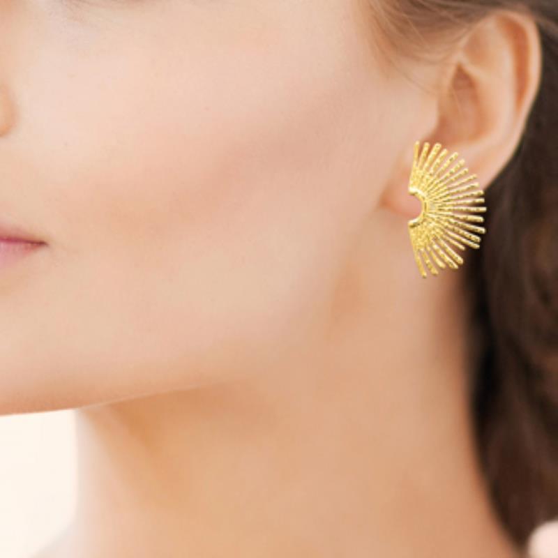 Izee Boucles d'oreilles acier doré 3115709