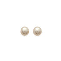 Coque de Nacre Boucles d'oreilles 39134