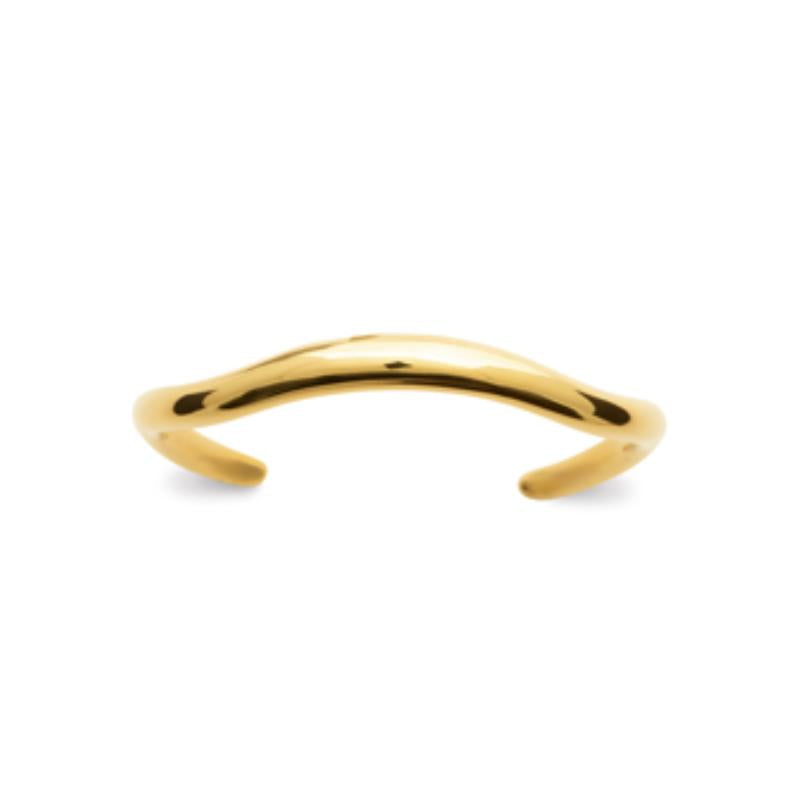 Coque de Nacre Bracelet jonc acier doré 312190