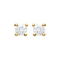 Coque de Nacre Boucles d'oreilles plaqué or 25055103