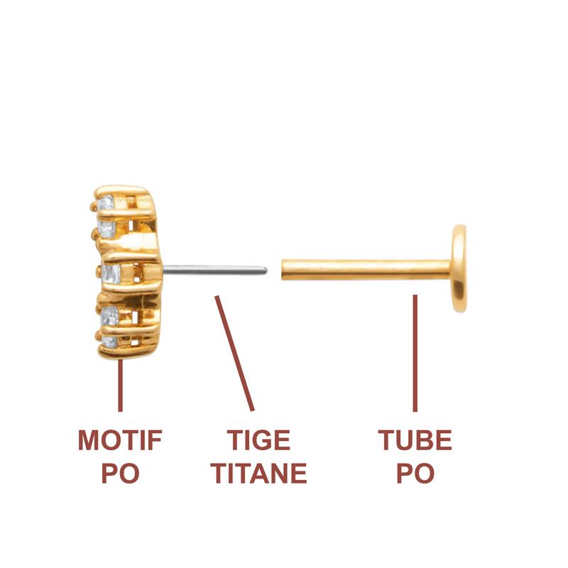 Coque de Nacre Piercing plaqué or 23066410