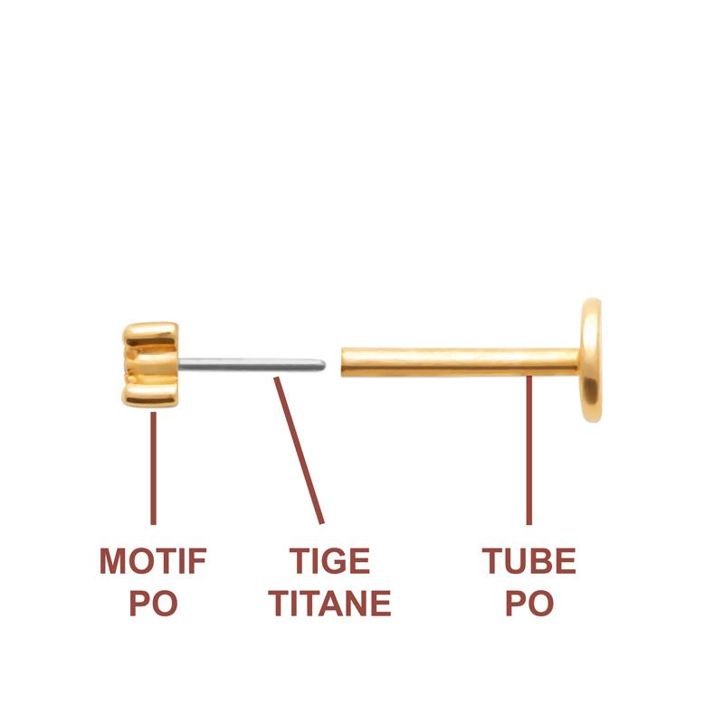 Coque de Nacre Piercing plaqué or 23066710