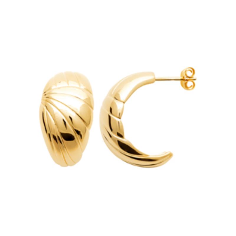 Coque de Nacre Boucles d'oreilles plaqué or 23073500