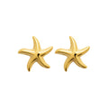 Coque de Nacre Boucles d'oreilles acier doré 3125409