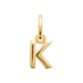 Coque de Nacre Pendentif initiale plaqué or 2775611