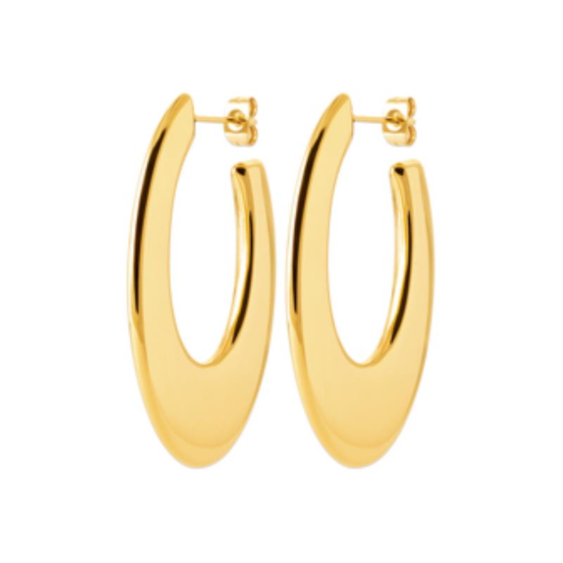 Coque de Nacre Boucles d'oreilles acier doré 3124309
