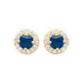 Coque de Nacre Puces d'oreilles plaqué or 23042260