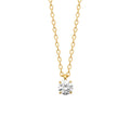 Coque de Nacre Collier plaqué or 973075