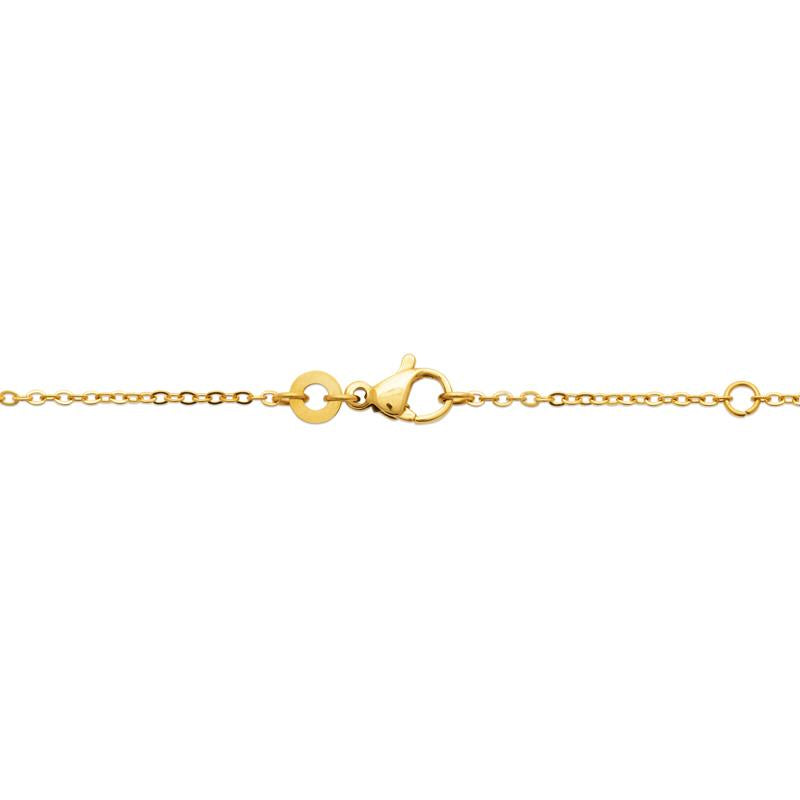 Coque de Nacre Collier acier doré 312355