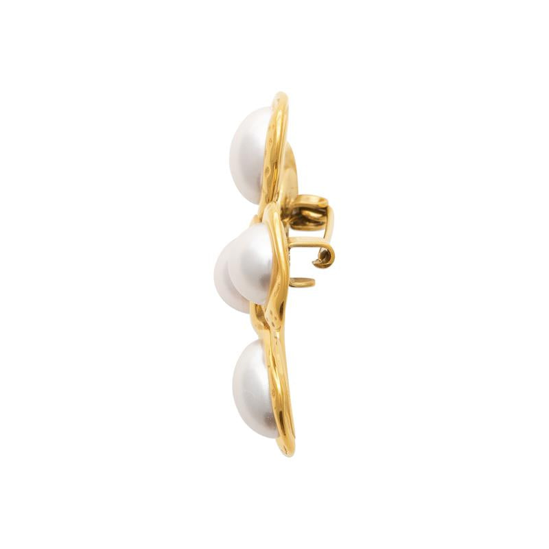 Coque de Nacre Broche acier doré 3300609