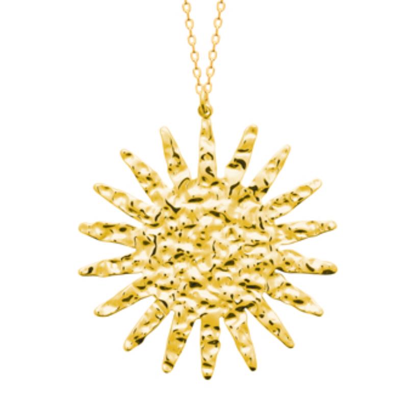 Izee Collier acier doré 312240