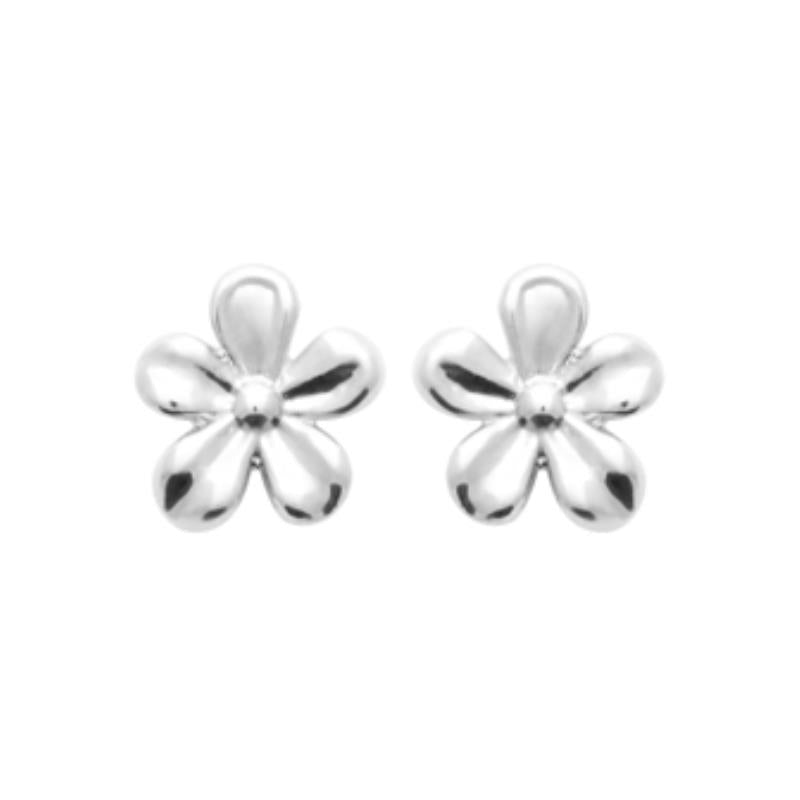 Coque de Nacre Puces d'oreilles argent 73055000